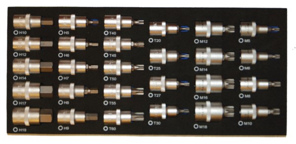 Bato Stifttopsæt     Quot  6kt  -19mm  Torx 20-60  Xzn M5-m18  Eva