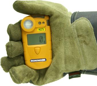 Crowcon Gasman H2s