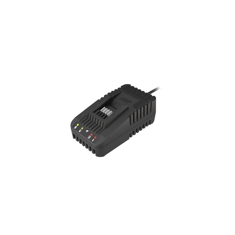 Worx Lader 20v 2a   Time